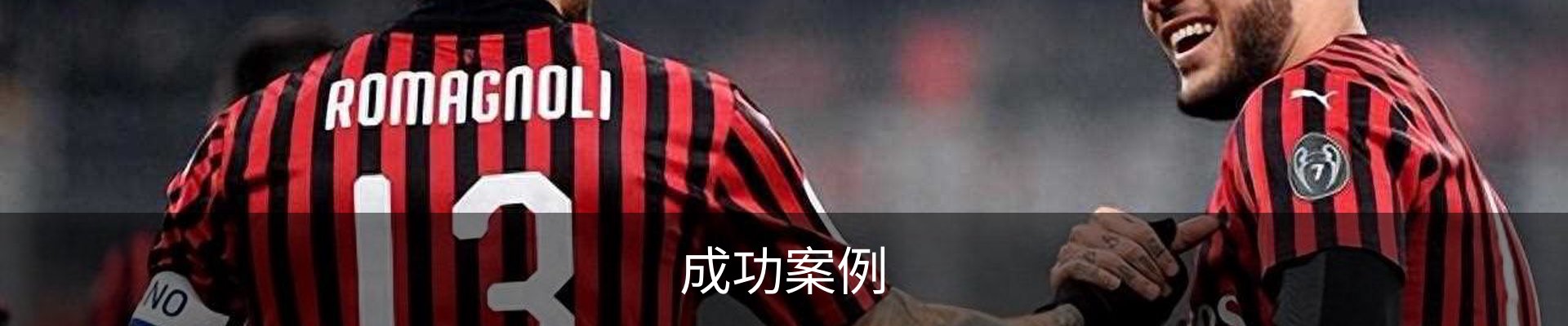 成功案例